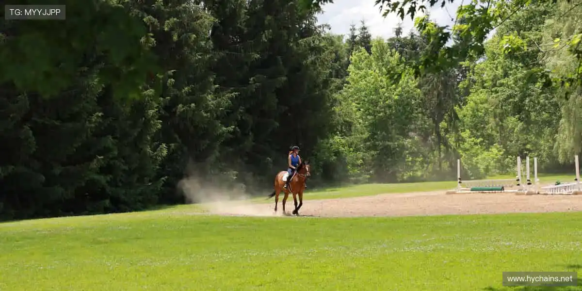 指尖掌控赛场，弹幕点燃激情！🎥